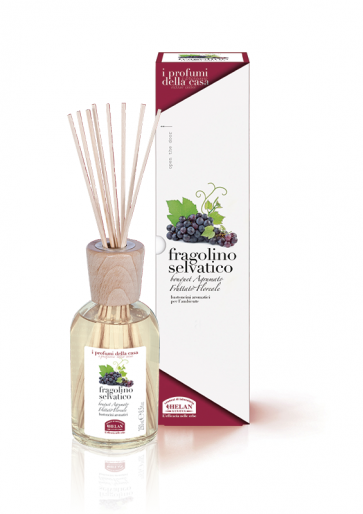 Helan I PROFUMI DELLA CASA - Bastoncini Aromatici - Fragolino Selvatico 250 ml