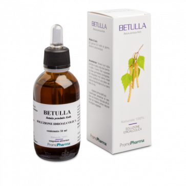 PromoPharma Betulla 100 ml 