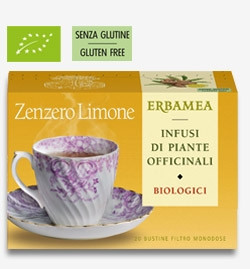 Erbamea ZENZERO E LIMONE 20 bustine filtro da agricoltura Biologica 