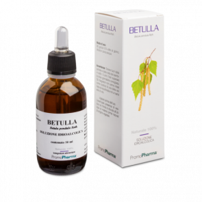 PromoPharma Betulla 100 ml 