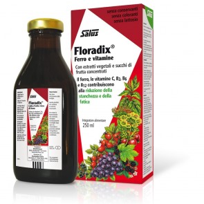 SALUS FLORADIX LINFA D'HERBS RICH IN IRON FOOD SUPPLEMENT 250 ml