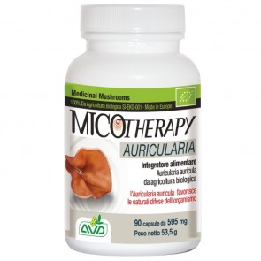 MICOTHERAPY MAITAKE FOOD SUPPLEMENT 90 CAPSULES