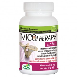 AVD Reform MICOTHERAPY LYMPH FOOD SUPPLEMENT 90 KAPSELN